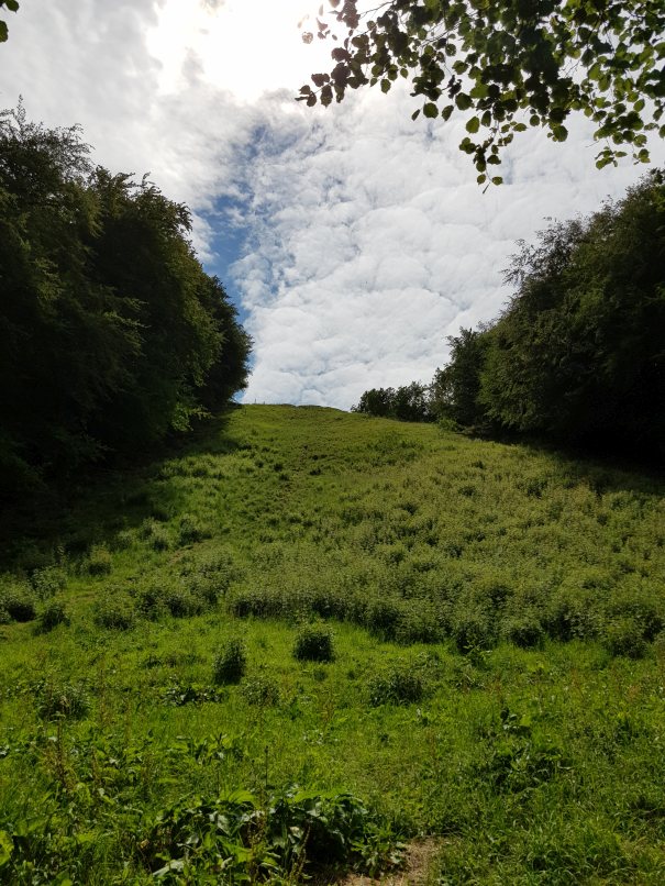 Looking up Coopers Hill