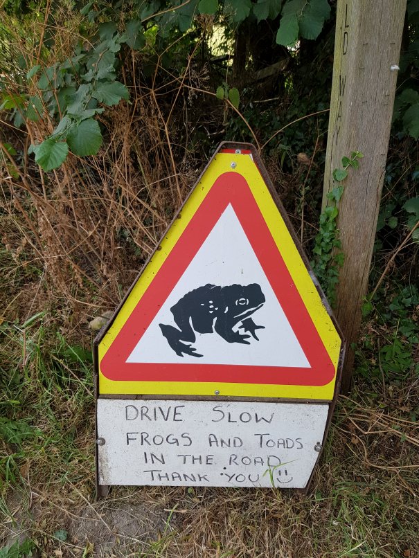 Frog and toad road warning sign